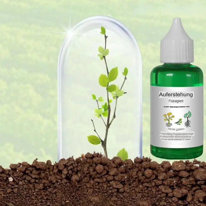 Pflanzennährstoff Lösung 50ml