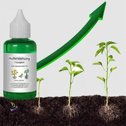 Pflanzennährstoff Lösung 50ml
